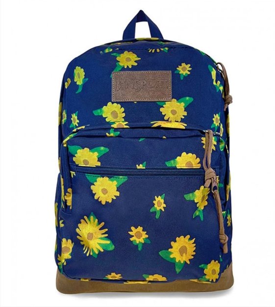 RIGHT PACK EXPRESSIONS - JanSport Colombia - JS0A85M6-Z96